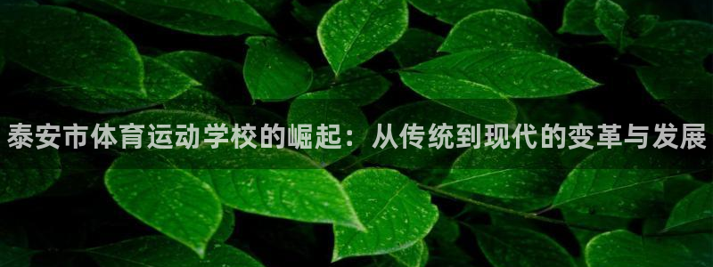 德国yy易游官方正版app集团：泰安市体育运动学校的