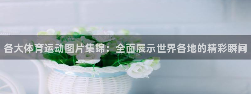 yy易游官网下载平台注册：各大体育运动图片集锦：全面