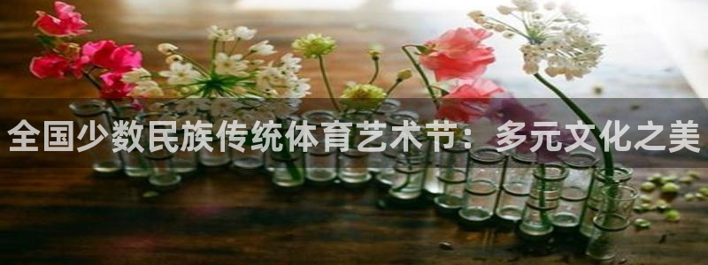 yy易游官网下载平台假的吗是真的吗吗：全国少数民族传