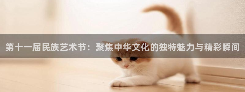 yy易游官方正版app集团logo：第十一届民族艺术
