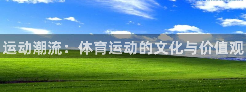 yy易游官网下载平台是正规平台吗安全吗