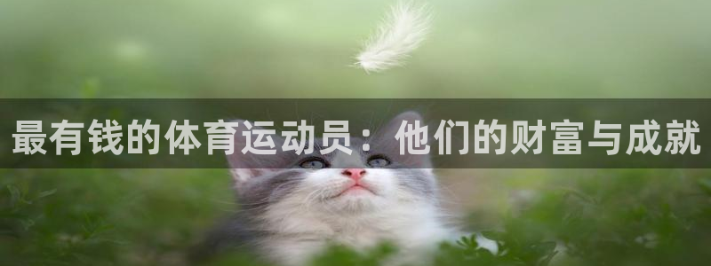 yy易游官方正版app娱乐是那个系列的台子：最有钱的体育运动