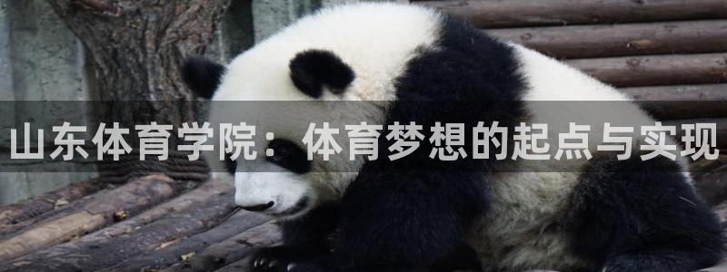 yy易游官方正版app五金厂：山东体育学院：体育梦想的起点与