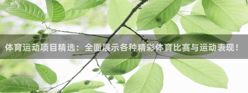 yy易游官方正版app集团官网首页：体育运动项目精选：全面展