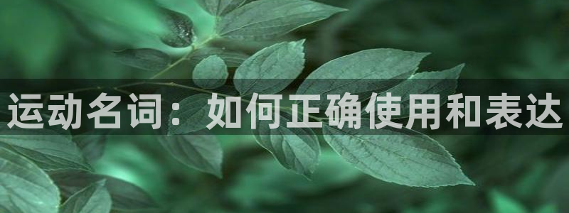 yy易游官网下载招商电话号码是多少