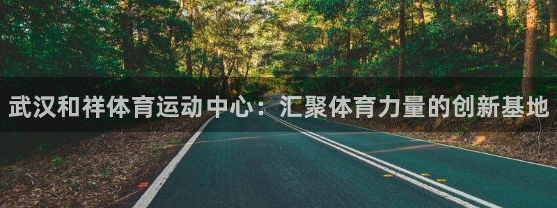 注册yy易游官方正版app：武汉和祥体育运动中心：汇