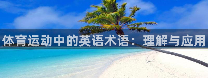 yy易游官网下载招商电话号码是多少号