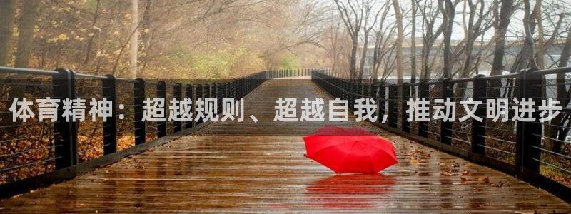 yy易游官方正版app娱乐代理怎么样：体育精神：超越规则、超