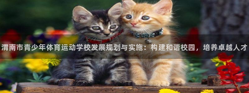 yy易游官网下载平台注册要钱吗安全吗：渭南市青少年体育运动学