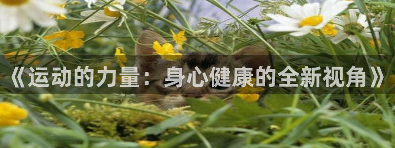yy易游官方正版app神州：《运动的力量：身心健康的全新视角