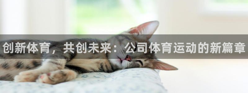 yy易游官方正版app官方：创新体育，共创未来：公司体育运动