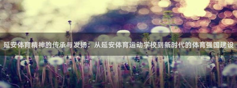 yy易游官网下载官方客服电话：延安体育精神的传承与发扬：从延