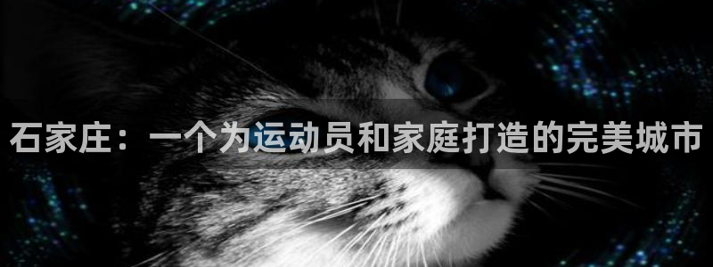 yy易游官网下载招商电话：石家庄：一个为运动员和家庭