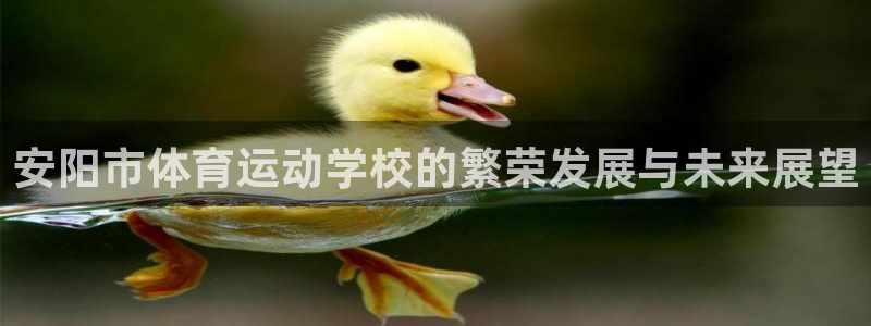 yy易游官网下载开户：安阳市体育运动学校的繁荣发展与