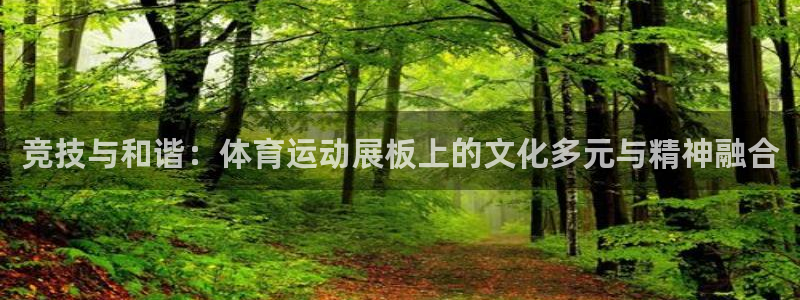 海南yy易游官网下载发展怎么样：竞技与和谐：体育运动