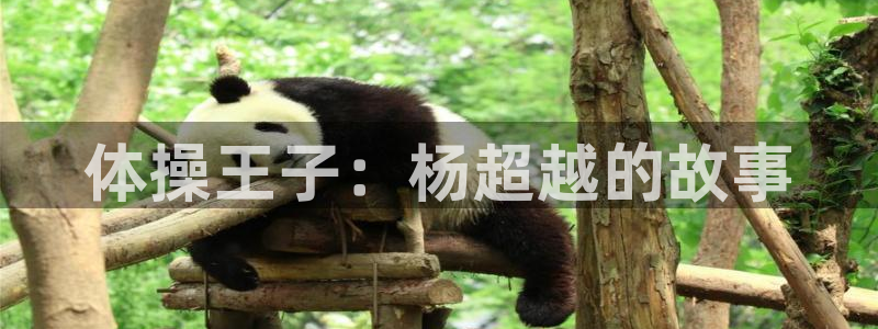 yy易游官网下载平台注册：体操王子：杨超越的故事