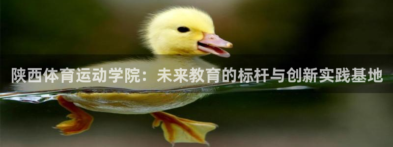 yy易游官方正版app娱乐代理怎么样