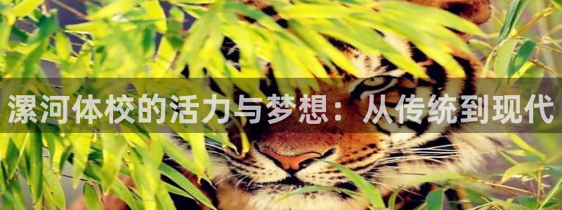 yy易游官方正版app集团官网网址：漯河体校的活力与梦想：从