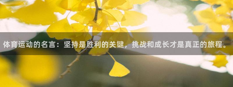 yy易游体育是正规的吗安全吗：体育运