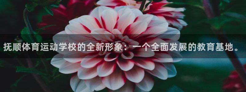 yy易游体育是正规的吗安全吗：抚顺体